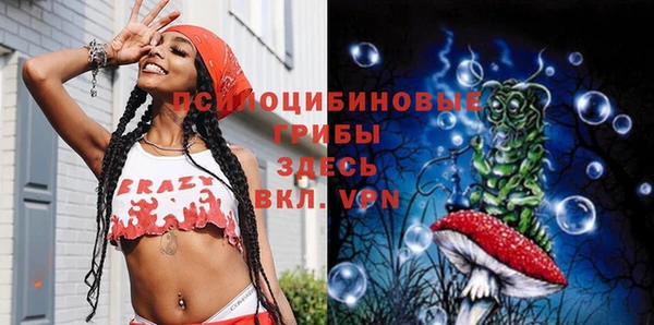 крисы Валуйки