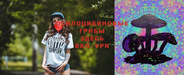 дживик Нефтекумск